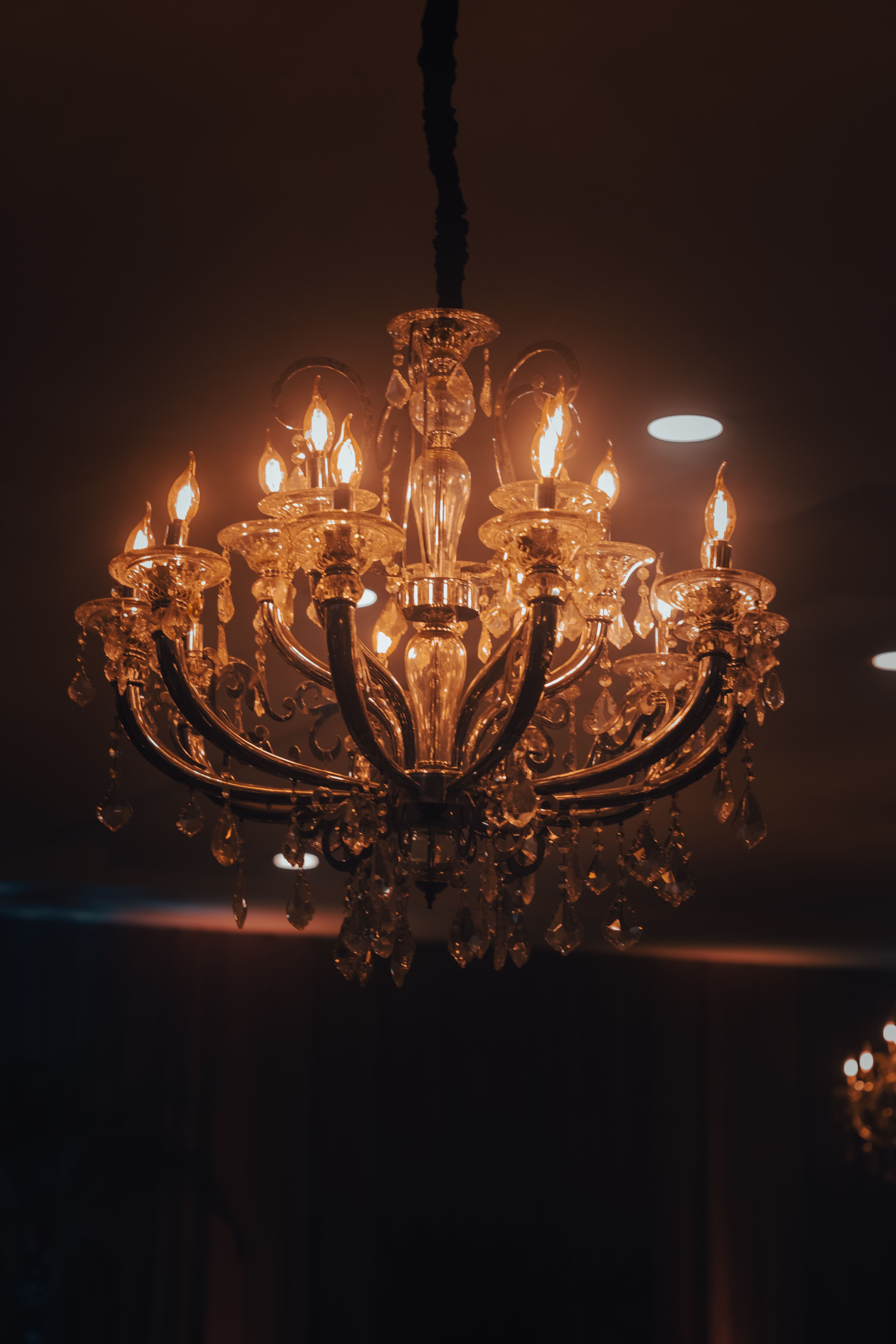 Elite Studio Premium Lighting